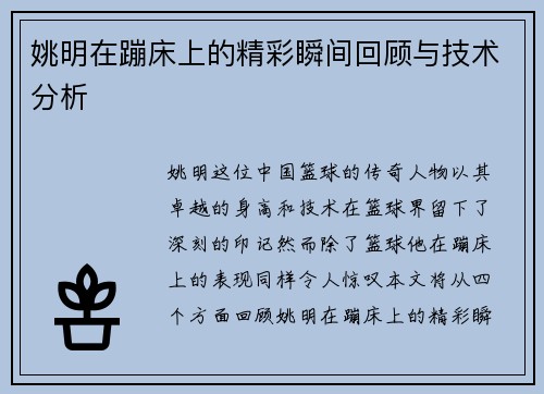 姚明在蹦床上的精彩瞬间回顾与技术分析